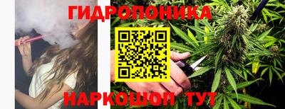 тгк Гусь-Хрустальный