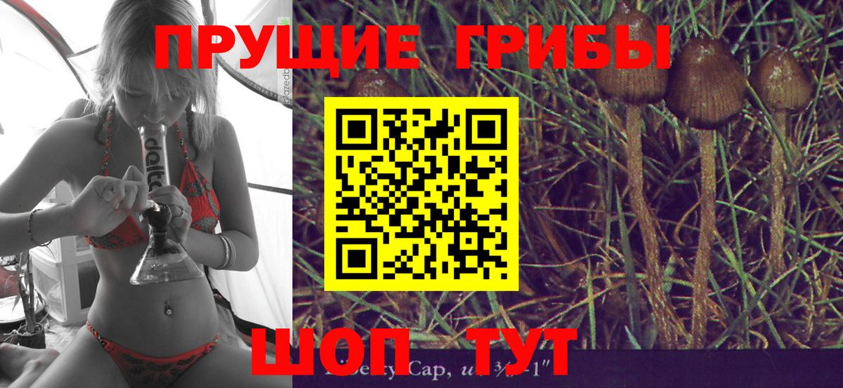 Галлюциногенные грибы Psilocybe  Вход с VPN  Моздок  Галлюциногенные грибы ЛСД 