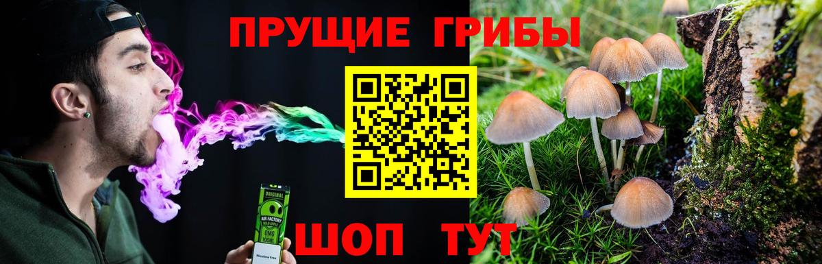 Псилоцибиновые грибы мицелий Моздок